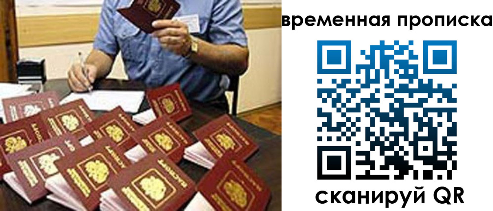 прописка для школы в Ивантеевке